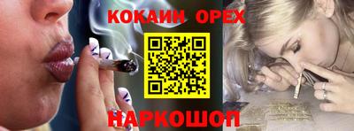 стаф Сланцы