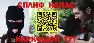 стаф Сланцы