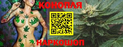 стаф Сланцы