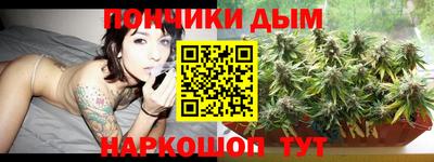 стаф Сланцы