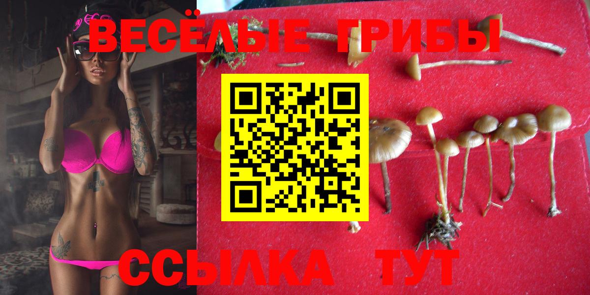 Галлюциногенные грибы Magic Shrooms Ростов-на-Дону